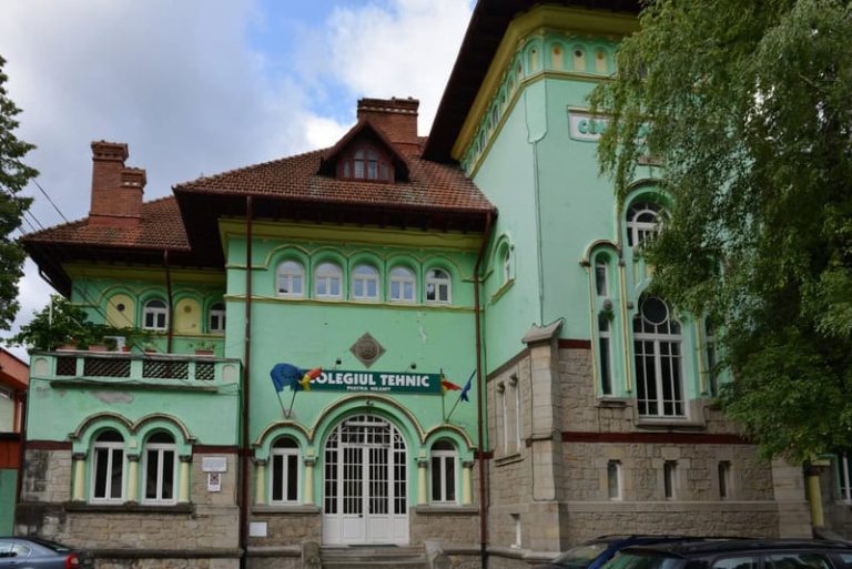 Piatra-Neamț. ASE și-a mutat activitatea la Colegiul Tehnic Forestier