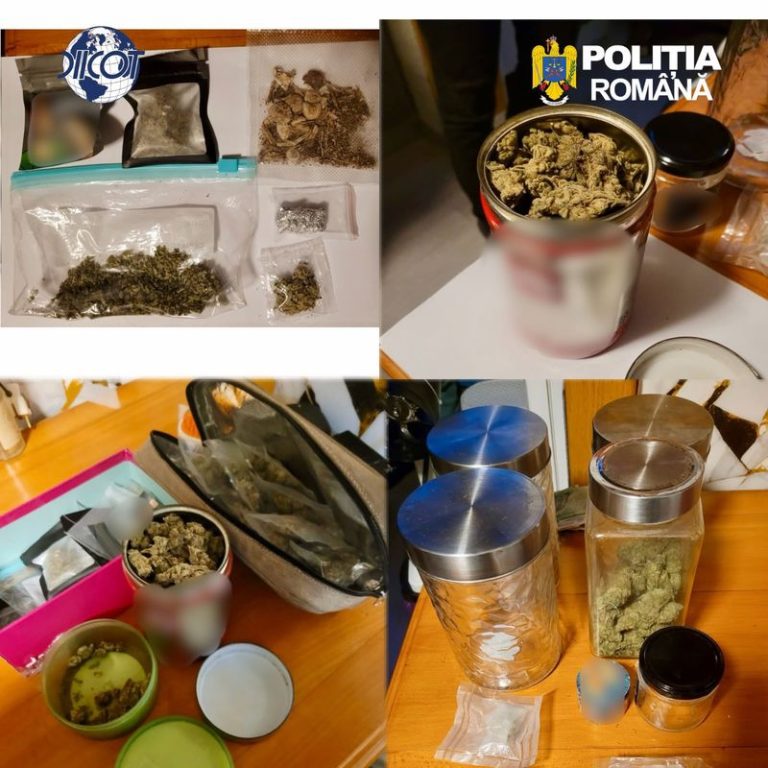 Bacău. Doi bărbați au fost arestați preventiv pentru trafic de canabis, iar o femeie a fost plasată în arest la domiciliu