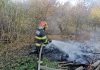 Aproximativ 50 de baloți de fân au ars într-o gospodărie din Brusturi