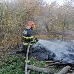 Aproximativ 50 de baloți de fân au ars într-o gospodărie din Brusturi Aproximativ 50 de baloți de fân au ars într-o gospodărie din Brusturi