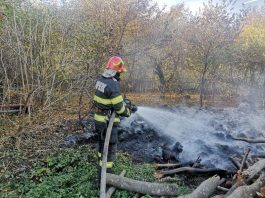 Aproximativ 50 de baloți de fân au ars într-o gospodărie din Brusturi Aproximativ 50 de baloți de fân au ars într-o gospodărie din Brusturi