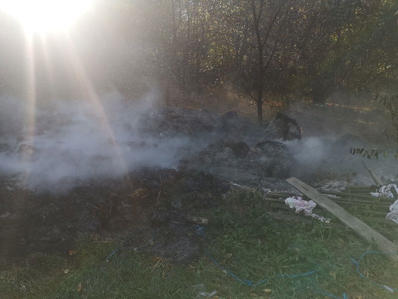Aproximativ 50 de baloți de fân au ars într-o gospodărie din Brusturi Aproximativ 50 de baloți de fân au ars într-o gospodărie din Brusturi – foto 2