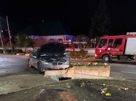 VIDEO-FOTO. Neamț. Accident soldat cu 2 răniți în Agapia