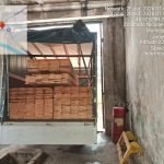 FOTO. Neamț. Amenzi de peste 21.000 de lei și 11 metri cubi de material lemnos confiscați FOTO. Neamț. Amenzi de peste 21.000 de lei și 11 metri cubi de material lemnos confiscați