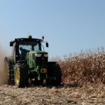 Editorial | Cerealele românești, lăsate pe linie moartă, agricultorii, trimiși spre faliment