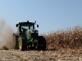 Editorial | Cerealele românești, lăsate pe linie moartă, agricultorii, trimiși spre faliment