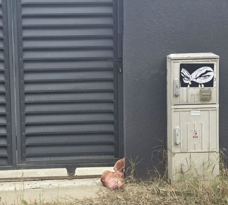 Scandalul ”Capul de porc de la casa lui Marius Lulea”: un consilier AUR spune că el l-a plasat; Lulea cere verificarea unor posibile presiuni asupra anchetei Scandalul ”Capul de porc de la casa lui Marius Lulea”: un consilier AUR spune că el l-a plasat; Lulea cere verificarea unor posibile presiuni asupra anchetei
