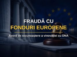 „Fermieră” cu acte false: a obținut ilegal peste 300.000 de lei din bani europeni și a scăpat cu suspendare!