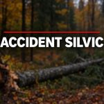 Tragedie în pădurea din Vaduri: un bărbat de 60 de ani, prins sub un copac căzut