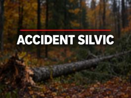 Tragedie în pădurea din Vaduri: un bărbat de 60 de ani, prins sub un copac căzut