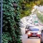 Neamț Un tânăr a ”împrumutat” mașina unui amic, pe care a ”parcat-o” în alte autoturisme!