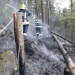 FOTO&VIDEO Suceava. Incendiu în pădurea de la Marginea – sunt afectate 15 hectare