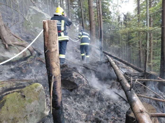 sv incendiu padure (3)